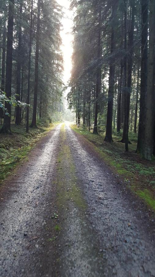 Ferienwohnung Am Kirchberg Achslach Dış mekan fotoğraf