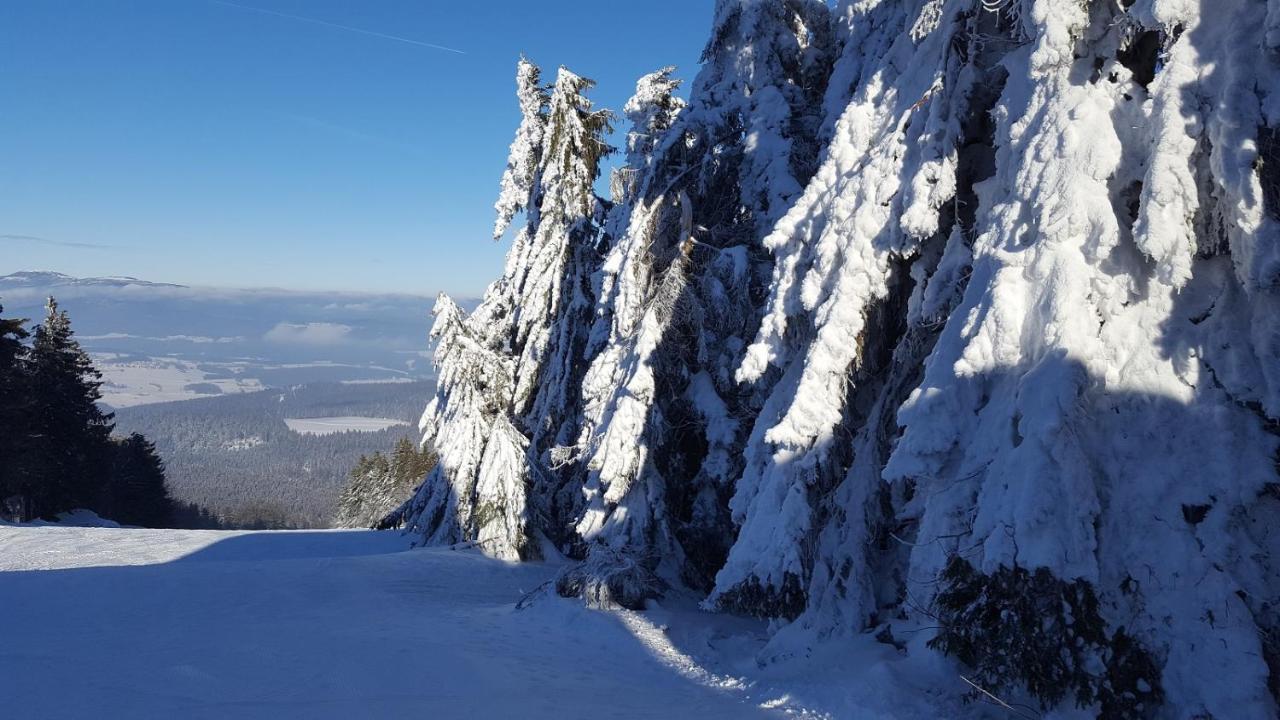 Ferienwohnung Am Kirchberg Achslach Dış mekan fotoğraf